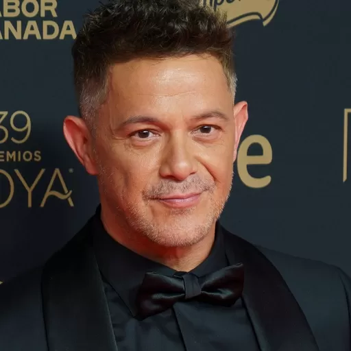 El cantante Alejandro Sanz en una alfombra roja